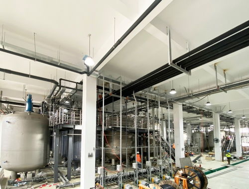 國產NMN“不老藥”概念再掀熱潮 寧波百噸工廠試產成功，惠及80萬人，或成網絡游戲開發(fā)新藍海