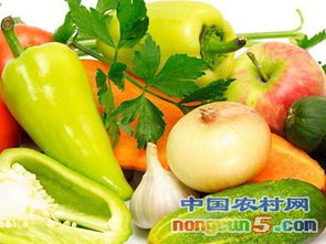 9月6日農產品批發價格指數解析 市場動態與趨勢展望