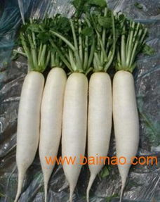 福萬家科技 打造山東農(nóng)產(chǎn)品高效流通新平臺(tái)